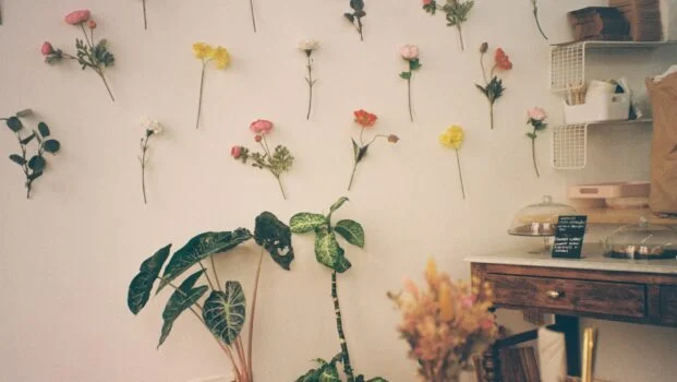 Lämpimän sävyinen kuva huoneesta, jossa on viherkasveja, ja jonka seinällä on kukkia.