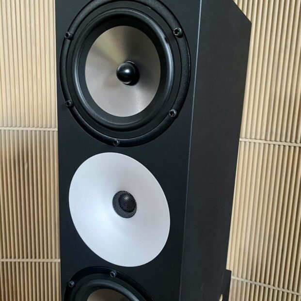 Amphion Two18-mallin kaiutin