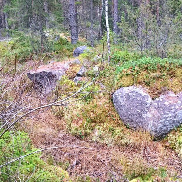 Luonto peilinä omaan elämään
